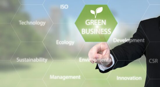 Grüne Geschäftsstrategien: Nachhaltigkeit als Erfolgsfaktor