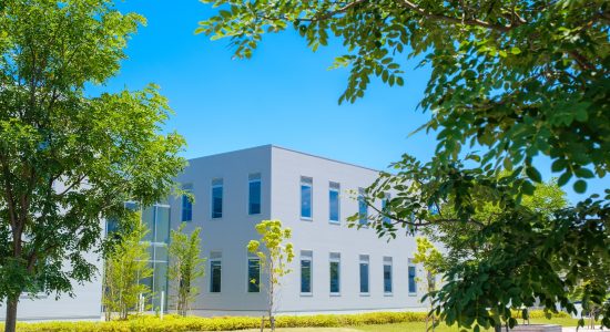 Wie Unternehmen Außenbereiche effizient strukturieren